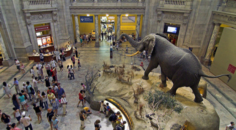 American-Museum-of-Natural-History-Capitol-Escapes-2